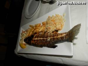 [P08] bibanul de mare - 15 euro » foto by A.E.N
 - 
<span class="allrVoted glyphicon glyphicon-heart hidden" id="av545811"></span>
<a class="m-l-10 hidden" id="sv545811" onclick="voting_Foto_DelVot(,545811,18127)" role="button">șterge vot <span class="glyphicon glyphicon-remove"></span></a>
<a id="v9545811" class=" c-red"  onclick="voting_Foto_SetVot(545811)" role="button"><span class="glyphicon glyphicon-heart-empty"></span> <b>LIKE</b> = Votează poza</a> <img class="hidden"  id="f545811W9" src="/imagini/loader.gif" border="0" /><span class="AjErrMes hidden" id="e545811ErM"></span>