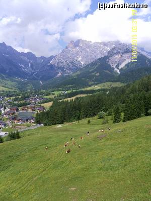 [P31] Asta este Austria mea!  » foto by Alina53
 - 
<span class="allrVoted glyphicon glyphicon-heart hidden" id="av598750"></span>
<a class="m-l-10 hidden" id="sv598750" onclick="voting_Foto_DelVot(,598750,18132)" role="button">șterge vot <span class="glyphicon glyphicon-remove"></span></a>
<a id="v9598750" class=" c-red"  onclick="voting_Foto_SetVot(598750)" role="button"><span class="glyphicon glyphicon-heart-empty"></span> <b>LIKE</b> = Votează poza</a> <img class="hidden"  id="f598750W9" src="/imagini/loader.gif" border="0" /><span class="AjErrMes hidden" id="e598750ErM"></span>