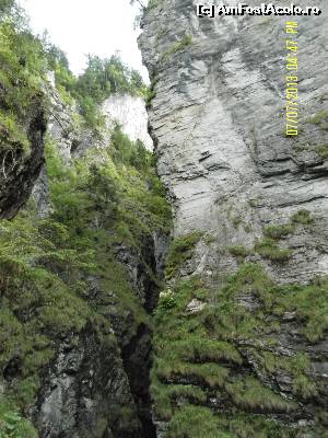 [P19] ... și partea de sus a peretelui stâncos » foto by Alina53
 - 
<span class="allrVoted glyphicon glyphicon-heart hidden" id="av601153"></span>
<a class="m-l-10 hidden" id="sv601153" onclick="voting_Foto_DelVot(,601153,18132)" role="button">șterge vot <span class="glyphicon glyphicon-remove"></span></a>
<a id="v9601153" class=" c-red"  onclick="voting_Foto_SetVot(601153)" role="button"><span class="glyphicon glyphicon-heart-empty"></span> <b>LIKE</b> = Votează poza</a> <img class="hidden"  id="f601153W9" src="/imagini/loader.gif" border="0" /><span class="AjErrMes hidden" id="e601153ErM"></span>