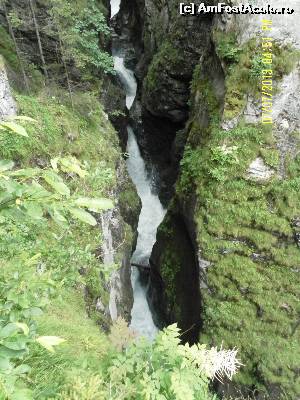 [P21] Munte, vrei-nu vrei, eu trec pe aici!  » foto by Alina53
 - 
<span class="allrVoted glyphicon glyphicon-heart hidden" id="av601155"></span>
<a class="m-l-10 hidden" id="sv601155" onclick="voting_Foto_DelVot(,601155,18132)" role="button">șterge vot <span class="glyphicon glyphicon-remove"></span></a>
<a id="v9601155" class=" c-red"  onclick="voting_Foto_SetVot(601155)" role="button"><span class="glyphicon glyphicon-heart-empty"></span> <b>LIKE</b> = Votează poza</a> <img class="hidden"  id="f601155W9" src="/imagini/loader.gif" border="0" /><span class="AjErrMes hidden" id="e601155ErM"></span>