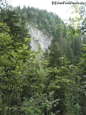 [P23] Brazi rezistând pe marginea prăpastiei » foto by Alina53
 - 
<span class="allrVoted glyphicon glyphicon-heart hidden" id="av601157"></span>
<a class="m-l-10 hidden" id="sv601157" onclick="voting_Foto_DelVot(,601157,18132)" role="button">șterge vot <span class="glyphicon glyphicon-remove"></span></a>
<a id="v9601157" class=" c-red"  onclick="voting_Foto_SetVot(601157)" role="button"><span class="glyphicon glyphicon-heart-empty"></span> <b>LIKE</b> = Votează poza</a> <img class="hidden"  id="f601157W9" src="/imagini/loader.gif" border="0" /><span class="AjErrMes hidden" id="e601157ErM"></span>