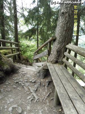 [P25] Nici aici n-am poposit. Nu știu dacă mă mai ridicam de pe băncuță...  » foto by Alina53
 - 
<span class="allrVoted glyphicon glyphicon-heart hidden" id="av601159"></span>
<a class="m-l-10 hidden" id="sv601159" onclick="voting_Foto_DelVot(,601159,18132)" role="button">șterge vot <span class="glyphicon glyphicon-remove"></span></a>
<a id="v9601159" class=" c-red"  onclick="voting_Foto_SetVot(601159)" role="button"><span class="glyphicon glyphicon-heart-empty"></span> <b>LIKE</b> = Votează poza</a> <img class="hidden"  id="f601159W9" src="/imagini/loader.gif" border="0" /><span class="AjErrMes hidden" id="e601159ErM"></span>