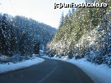 [P16] Partia Piatra Graitoare Vartop- inapoi spre civilizatie » foto by luciaoradea
 - 
<span class="allrVoted glyphicon glyphicon-heart hidden" id="av188573"></span>
<a class="m-l-10 hidden" id="sv188573" onclick="voting_Foto_DelVot(,188573,18142)" role="button">șterge vot <span class="glyphicon glyphicon-remove"></span></a>
<a id="v9188573" class=" c-red"  onclick="voting_Foto_SetVot(188573)" role="button"><span class="glyphicon glyphicon-heart-empty"></span> <b>LIKE</b> = Votează poza</a> <img class="hidden"  id="f188573W9" src="/imagini/loader.gif" border="0" /><span class="AjErrMes hidden" id="e188573ErM"></span>