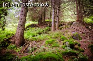 [P44] Spre varful Piatra Graitoare » foto by Remicade
 - 
<span class="allrVoted glyphicon glyphicon-heart hidden" id="av770781"></span>
<a class="m-l-10 hidden" id="sv770781" onclick="voting_Foto_DelVot(,770781,18142)" role="button">șterge vot <span class="glyphicon glyphicon-remove"></span></a>
<a id="v9770781" class=" c-red"  onclick="voting_Foto_SetVot(770781)" role="button"><span class="glyphicon glyphicon-heart-empty"></span> <b>LIKE</b> = Votează poza</a> <img class="hidden"  id="f770781W9" src="/imagini/loader.gif" border="0" /><span class="AjErrMes hidden" id="e770781ErM"></span>