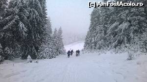 [P04]  -- <small>// FĂRĂ DESCRIERE</small> » foto by noi doi
 - 
<span class="allrVoted glyphicon glyphicon-heart hidden" id="av593756"></span>
<a class="m-l-10 hidden" id="sv593756" onclick="voting_Foto_DelVot(,593756,18142)" role="button">șterge vot <span class="glyphicon glyphicon-remove"></span></a>
<a id="v9593756" class=" c-red"  onclick="voting_Foto_SetVot(593756)" role="button"><span class="glyphicon glyphicon-heart-empty"></span> <b>LIKE</b> = Votează poza</a> <img class="hidden"  id="f593756W9" src="/imagini/loader.gif" border="0" /><span class="AjErrMes hidden" id="e593756ErM"></span>