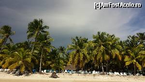 [P06] Insula Saona » foto by dumitriu77
 - 
<span class="allrVoted glyphicon glyphicon-heart hidden" id="av604046"></span>
<a class="m-l-10 hidden" id="sv604046" onclick="voting_Foto_DelVot(,604046,18193)" role="button">șterge vot <span class="glyphicon glyphicon-remove"></span></a>
<a id="v9604046" class=" c-red"  onclick="voting_Foto_SetVot(604046)" role="button"><span class="glyphicon glyphicon-heart-empty"></span> <b>LIKE</b> = Votează poza</a> <img class="hidden"  id="f604046W9" src="/imagini/loader.gif" border="0" /><span class="AjErrMes hidden" id="e604046ErM"></span>