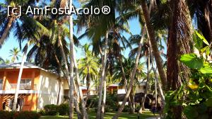 [P04] Grand Palladium Palace » foto by dumitriu77
 - 
<span class="allrVoted glyphicon glyphicon-heart hidden" id="av940681"></span>
<a class="m-l-10 hidden" id="sv940681" onclick="voting_Foto_DelVot(,940681,18193)" role="button">șterge vot <span class="glyphicon glyphicon-remove"></span></a>
<a id="v9940681" class=" c-red"  onclick="voting_Foto_SetVot(940681)" role="button"><span class="glyphicon glyphicon-heart-empty"></span> <b>LIKE</b> = Votează poza</a> <img class="hidden"  id="f940681W9" src="/imagini/loader.gif" border="0" /><span class="AjErrMes hidden" id="e940681ErM"></span>