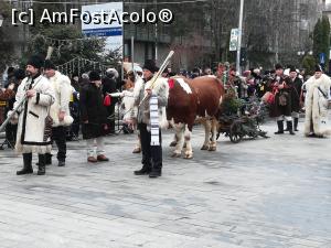 [P01] Apar primii colindători-observați carul cu boi » foto by CATAAS
 - 
<span class="allrVoted glyphicon glyphicon-heart hidden" id="av1135891"></span>
<a class="m-l-10 hidden" id="sv1135891" onclick="voting_Foto_DelVot(,1135891,18202)" role="button">șterge vot <span class="glyphicon glyphicon-remove"></span></a>
<a id="v91135891" class=" c-red"  onclick="voting_Foto_SetVot(1135891)" role="button"><span class="glyphicon glyphicon-heart-empty"></span> <b>LIKE</b> = Votează poza</a> <img class="hidden"  id="f1135891W9" src="/imagini/loader.gif" border="0" /><span class="AjErrMes hidden" id="e1135891ErM"></span>