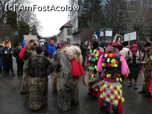 [P08] Urși și mascați » foto by CATAAS
 - 
<span class="allrVoted glyphicon glyphicon-heart hidden" id="av1135898"></span>
<a class="m-l-10 hidden" id="sv1135898" onclick="voting_Foto_DelVot(,1135898,18202)" role="button">șterge vot <span class="glyphicon glyphicon-remove"></span></a>
<a id="v91135898" class=" c-red"  onclick="voting_Foto_SetVot(1135898)" role="button"><span class="glyphicon glyphicon-heart-empty"></span> <b>LIKE</b> = Votează poza</a> <img class="hidden"  id="f1135898W9" src="/imagini/loader.gif" border="0" /><span class="AjErrMes hidden" id="e1135898ErM"></span>