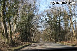 [P03] Hmmm... asta seamănă cu The Dark Hedges din Irlanda de Nord. Vom ajunge și acolo...  » foto by ariciu*
 - 
<span class="allrVoted glyphicon glyphicon-heart hidden" id="av607038"></span>
<a class="m-l-10 hidden" id="sv607038" onclick="voting_Foto_DelVot(,607038,18212)" role="button">șterge vot <span class="glyphicon glyphicon-remove"></span></a>
<a id="v9607038" class=" c-red"  onclick="voting_Foto_SetVot(607038)" role="button"><span class="glyphicon glyphicon-heart-empty"></span> <b>LIKE</b> = Votează poza</a> <img class="hidden"  id="f607038W9" src="/imagini/loader.gif" border="0" /><span class="AjErrMes hidden" id="e607038ErM"></span>
