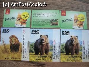 [P56] Am mai făcut un scurt popas la McDonalds Brașov pentru a primi ca bonus un sandviș din partea casei. Am mers cu voucherele primite și cu biletele de intrare la Zoo.  » foto by Floryn81
 - 
<span class="allrVoted glyphicon glyphicon-heart hidden" id="av777509"></span>
<a class="m-l-10 hidden" id="sv777509" onclick="voting_Foto_DelVot(,777509,18241)" role="button">șterge vot <span class="glyphicon glyphicon-remove"></span></a>
<a id="v9777509" class=" c-red"  onclick="voting_Foto_SetVot(777509)" role="button"><span class="glyphicon glyphicon-heart-empty"></span> <b>LIKE</b> = Votează poza</a> <img class="hidden"  id="f777509W9" src="/imagini/loader.gif" border="0" /><span class="AjErrMes hidden" id="e777509ErM"></span>