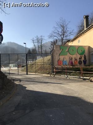 [P01] Zoo Brașov, 1 Decembrie 2018 » foto by krisstinna
 - 
<span class="allrVoted glyphicon glyphicon-heart hidden" id="av1043023"></span>
<a class="m-l-10 hidden" id="sv1043023" onclick="voting_Foto_DelVot(,1043023,18241)" role="button">șterge vot <span class="glyphicon glyphicon-remove"></span></a>
<a id="v91043023" class=" c-red"  onclick="voting_Foto_SetVot(1043023)" role="button"><span class="glyphicon glyphicon-heart-empty"></span> <b>LIKE</b> = Votează poza</a> <img class="hidden"  id="f1043023W9" src="/imagini/loader.gif" border="0" /><span class="AjErrMes hidden" id="e1043023ErM"></span>