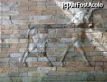 [P38] Muzeul Pergamon : detaliu de decor de pe faţada de cărămidă a sanctuarului Eanna din Uruk » foto by mariana.olaru
 - 
<span class="allrVoted glyphicon glyphicon-heart hidden" id="av133305"></span>
<a class="m-l-10 hidden" id="sv133305" onclick="voting_Foto_DelVot(,133305,18249)" role="button">șterge vot <span class="glyphicon glyphicon-remove"></span></a>
<a id="v9133305" class=" c-red"  onclick="voting_Foto_SetVot(133305)" role="button"><span class="glyphicon glyphicon-heart-empty"></span> <b>LIKE</b> = Votează poza</a> <img class="hidden"  id="f133305W9" src="/imagini/loader.gif" border="0" /><span class="AjErrMes hidden" id="e133305ErM"></span>