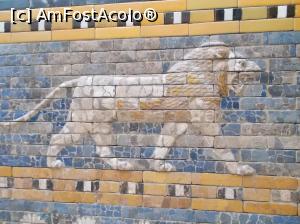 [P18] Muzeul Pergamon, Berlin. Calea Procesiunilor din anticul Babilon. Friza cu lei. O splendoare de exemplar leonin. » foto by mihaelavoicu
 - 
<span class="allrVoted glyphicon glyphicon-heart hidden" id="av1207639"></span>
<a class="m-l-10 hidden" id="sv1207639" onclick="voting_Foto_DelVot(,1207639,18249)" role="button">șterge vot <span class="glyphicon glyphicon-remove"></span></a>
<a id="v91207639" class=" c-red"  onclick="voting_Foto_SetVot(1207639)" role="button"><span class="glyphicon glyphicon-heart-empty"></span> <b>LIKE</b> = Votează poza</a> <img class="hidden"  id="f1207639W9" src="/imagini/loader.gif" border="0" /><span class="AjErrMes hidden" id="e1207639ErM"></span>