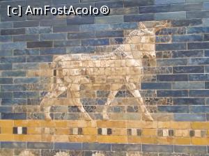 [P04] Muzeul Pergamon, Berlin. Poarta Zeiței Ishtar. Taur decorativ. » foto by mihaelavoicu
 - 
<span class="allrVoted glyphicon glyphicon-heart hidden" id="av1207625"></span>
<a class="m-l-10 hidden" id="sv1207625" onclick="voting_Foto_DelVot(,1207625,18249)" role="button">șterge vot <span class="glyphicon glyphicon-remove"></span></a>
<a id="v91207625" class=" c-red"  onclick="voting_Foto_SetVot(1207625)" role="button"><span class="glyphicon glyphicon-heart-empty"></span> <b>LIKE</b> = Votează poza</a> <img class="hidden"  id="f1207625W9" src="/imagini/loader.gif" border="0" /><span class="AjErrMes hidden" id="e1207625ErM"></span>