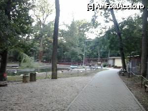 [P04] Alee la zoo » foto by Tucu2009
 - 
<span class="allrVoted glyphicon glyphicon-heart hidden" id="av479859"></span>
<a class="m-l-10 hidden" id="sv479859" onclick="voting_Foto_DelVot(,479859,18280)" role="button">șterge vot <span class="glyphicon glyphicon-remove"></span></a>
<a id="v9479859" class=" c-red"  onclick="voting_Foto_SetVot(479859)" role="button"><span class="glyphicon glyphicon-heart-empty"></span> <b>LIKE</b> = Votează poza</a> <img class="hidden"  id="f479859W9" src="/imagini/loader.gif" border="0" /><span class="AjErrMes hidden" id="e479859ErM"></span>