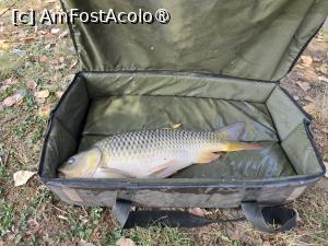 [P12] frumos mustacios » foto by silvia tudoran
 - 
<span class="allrVoted glyphicon glyphicon-heart hidden" id="av1494302"></span>
<a class="m-l-10 hidden" id="sv1494302" onclick="voting_Foto_DelVot(,1494302,18322)" role="button">șterge vot <span class="glyphicon glyphicon-remove"></span></a>
<a id="v91494302" class=" c-red"  onclick="voting_Foto_SetVot(1494302)" role="button"><span class="glyphicon glyphicon-heart-empty"></span> <b>LIKE</b> = Votează poza</a> <img class="hidden"  id="f1494302W9" src="/imagini/loader.gif" border="0" /><span class="AjErrMes hidden" id="e1494302ErM"></span>