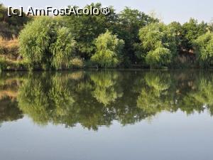 [P16] Pe balta Gruiu » foto by silvia tudoran
 - 
<span class="allrVoted glyphicon glyphicon-heart hidden" id="av1494306"></span>
<a class="m-l-10 hidden" id="sv1494306" onclick="voting_Foto_DelVot(,1494306,18322)" role="button">șterge vot <span class="glyphicon glyphicon-remove"></span></a>
<a id="v91494306" class=" c-red"  onclick="voting_Foto_SetVot(1494306)" role="button"><span class="glyphicon glyphicon-heart-empty"></span> <b>LIKE</b> = Votează poza</a> <img class="hidden"  id="f1494306W9" src="/imagini/loader.gif" border="0" /><span class="AjErrMes hidden" id="e1494306ErM"></span>