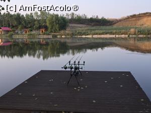 [P17] In asteptare, de dimimeata » foto by silvia tudoran
 - 
<span class="allrVoted glyphicon glyphicon-heart hidden" id="av1494307"></span>
<a class="m-l-10 hidden" id="sv1494307" onclick="voting_Foto_DelVot(,1494307,18322)" role="button">șterge vot <span class="glyphicon glyphicon-remove"></span></a>
<a id="v91494307" class=" c-red"  onclick="voting_Foto_SetVot(1494307)" role="button"><span class="glyphicon glyphicon-heart-empty"></span> <b>LIKE</b> = Votează poza</a> <img class="hidden"  id="f1494307W9" src="/imagini/loader.gif" border="0" /><span class="AjErrMes hidden" id="e1494307ErM"></span>