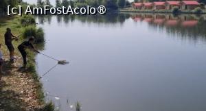 [P04] Munca de echipa pe Balta Gruiu » foto by silvia tudoran
 - 
<span class="allrVoted glyphicon glyphicon-heart hidden" id="av1494294"></span>
<a class="m-l-10 hidden" id="sv1494294" onclick="voting_Foto_DelVot(,1494294,18322)" role="button">șterge vot <span class="glyphicon glyphicon-remove"></span></a>
<a id="v91494294" class=" c-red"  onclick="voting_Foto_SetVot(1494294)" role="button"><span class="glyphicon glyphicon-heart-empty"></span> <b>LIKE</b> = Votează poza</a> <img class="hidden"  id="f1494294W9" src="/imagini/loader.gif" border="0" /><span class="AjErrMes hidden" id="e1494294ErM"></span>