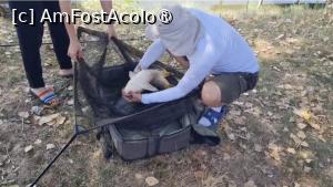 [P06] Munca de echipa pe Balta Gruiu » foto by silvia tudoran
 - 
<span class="allrVoted glyphicon glyphicon-heart hidden" id="av1494296"></span>
<a class="m-l-10 hidden" id="sv1494296" onclick="voting_Foto_DelVot(,1494296,18322)" role="button">șterge vot <span class="glyphicon glyphicon-remove"></span></a>
<a id="v91494296" class=" c-red"  onclick="voting_Foto_SetVot(1494296)" role="button"><span class="glyphicon glyphicon-heart-empty"></span> <b>LIKE</b> = Votează poza</a> <img class="hidden"  id="f1494296W9" src="/imagini/loader.gif" border="0" /><span class="AjErrMes hidden" id="e1494296ErM"></span>