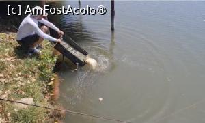 [P07] Catch and release » foto by silvia tudoran
 - 
<span class="allrVoted glyphicon glyphicon-heart hidden" id="av1494297"></span>
<a class="m-l-10 hidden" id="sv1494297" onclick="voting_Foto_DelVot(,1494297,18322)" role="button">șterge vot <span class="glyphicon glyphicon-remove"></span></a>
<a id="v91494297" class=" c-red"  onclick="voting_Foto_SetVot(1494297)" role="button"><span class="glyphicon glyphicon-heart-empty"></span> <b>LIKE</b> = Votează poza</a> <img class="hidden"  id="f1494297W9" src="/imagini/loader.gif" border="0" /><span class="AjErrMes hidden" id="e1494297ErM"></span>