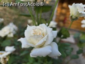 [P08] Domeniul Gruiu - băltile sunt frumos amenajate » foto by silvia tudoran
 - 
<span class="allrVoted glyphicon glyphicon-heart hidden" id="av1494298"></span>
<a class="m-l-10 hidden" id="sv1494298" onclick="voting_Foto_DelVot(,1494298,18322)" role="button">șterge vot <span class="glyphicon glyphicon-remove"></span></a>
<a id="v91494298" class=" c-red"  onclick="voting_Foto_SetVot(1494298)" role="button"><span class="glyphicon glyphicon-heart-empty"></span> <b>LIKE</b> = Votează poza</a> <img class="hidden"  id="f1494298W9" src="/imagini/loader.gif" border="0" /><span class="AjErrMes hidden" id="e1494298ErM"></span>