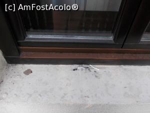 [P11] Predecesorii nostri, care se pare ca au fost fumatori, au decis sa transforme pervazul geamului in scrumiera iar femeia de servici, la randul ei, a decis si ca ,,merge si asa ,, » foto by Michaell
 - 
<span class="allrVoted glyphicon glyphicon-heart hidden" id="av790996"></span>
<a class="m-l-10 hidden" id="sv790996" onclick="voting_Foto_DelVot(,790996,18365)" role="button">șterge vot <span class="glyphicon glyphicon-remove"></span></a>
<a id="v9790996" class=" c-red"  onclick="voting_Foto_SetVot(790996)" role="button"><span class="glyphicon glyphicon-heart-empty"></span> <b>LIKE</b> = Votează poza</a> <img class="hidden"  id="f790996W9" src="/imagini/loader.gif" border="0" /><span class="AjErrMes hidden" id="e790996ErM"></span>