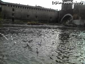 [P27] Verona. Hranind pasarile de pe Adige, in fata Castelvecchio e Ponte Scaligero » foto by FlorinAndrei
 - 
<span class="allrVoted glyphicon glyphicon-heart hidden" id="av615535"></span>
<a class="m-l-10 hidden" id="sv615535" onclick="voting_Foto_DelVot(,615535,18378)" role="button">șterge vot <span class="glyphicon glyphicon-remove"></span></a>
<a id="v9615535" class=" c-red"  onclick="voting_Foto_SetVot(615535)" role="button"><span class="glyphicon glyphicon-heart-empty"></span> <b>LIKE</b> = Votează poza</a> <img class="hidden"  id="f615535W9" src="/imagini/loader.gif" border="0" /><span class="AjErrMes hidden" id="e615535ErM"></span>