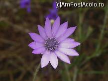 [P09] Cetatea Enisala - natura reînviată » foto by Dragoș_MD
 - 
<span class="allrVoted glyphicon glyphicon-heart hidden" id="av105944"></span>
<a class="m-l-10 hidden" id="sv105944" onclick="voting_Foto_DelVot(,105944,18448)" role="button">șterge vot <span class="glyphicon glyphicon-remove"></span></a>
<a id="v9105944" class=" c-red"  onclick="voting_Foto_SetVot(105944)" role="button"><span class="glyphicon glyphicon-heart-empty"></span> <b>LIKE</b> = Votează poza</a> <img class="hidden"  id="f105944W9" src="/imagini/loader.gif" border="0" /><span class="AjErrMes hidden" id="e105944ErM"></span>