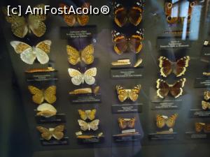 [P22]  -- <small>// FĂRĂ DESCRIERE</small> » foto by VOIAJ
 - 
<span class="allrVoted glyphicon glyphicon-heart hidden" id="av930391"></span>
<a class="m-l-10 hidden" id="sv930391" onclick="voting_Foto_DelVot(,930391,18455)" role="button">șterge vot <span class="glyphicon glyphicon-remove"></span></a>
<a id="v9930391" class=" c-red"  onclick="voting_Foto_SetVot(930391)" role="button"><span class="glyphicon glyphicon-heart-empty"></span> <b>LIKE</b> = Votează poza</a> <img class="hidden"  id="f930391W9" src="/imagini/loader.gif" border="0" /><span class="AjErrMes hidden" id="e930391ErM"></span>