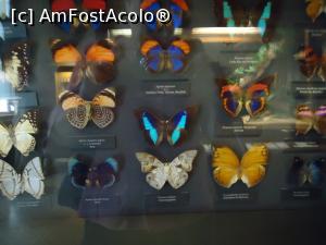 [P24]  -- <small>// FĂRĂ DESCRIERE</small> » foto by VOIAJ
 - 
<span class="allrVoted glyphicon glyphicon-heart hidden" id="av930396"></span>
<a class="m-l-10 hidden" id="sv930396" onclick="voting_Foto_DelVot(,930396,18455)" role="button">șterge vot <span class="glyphicon glyphicon-remove"></span></a>
<a id="v9930396" class=" c-red"  onclick="voting_Foto_SetVot(930396)" role="button"><span class="glyphicon glyphicon-heart-empty"></span> <b>LIKE</b> = Votează poza</a> <img class="hidden"  id="f930396W9" src="/imagini/loader.gif" border="0" /><span class="AjErrMes hidden" id="e930396ErM"></span>