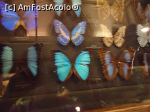 [P25]  -- <small>// FĂRĂ DESCRIERE</small> » foto by VOIAJ
 - 
<span class="allrVoted glyphicon glyphicon-heart hidden" id="av930398"></span>
<a class="m-l-10 hidden" id="sv930398" onclick="voting_Foto_DelVot(,930398,18455)" role="button">șterge vot <span class="glyphicon glyphicon-remove"></span></a>
<a id="v9930398" class=" c-red"  onclick="voting_Foto_SetVot(930398)" role="button"><span class="glyphicon glyphicon-heart-empty"></span> <b>LIKE</b> = Votează poza</a> <img class="hidden"  id="f930398W9" src="/imagini/loader.gif" border="0" /><span class="AjErrMes hidden" id="e930398ErM"></span>