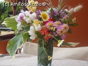[P16] floricele corfiote » foto by danutapop
 - 
<span class="allrVoted glyphicon glyphicon-heart hidden" id="av772795"></span>
<a class="m-l-10 hidden" id="sv772795" onclick="voting_Foto_DelVot(,772795,18513)" role="button">șterge vot <span class="glyphicon glyphicon-remove"></span></a>
<a id="v9772795" class=" c-red"  onclick="voting_Foto_SetVot(772795)" role="button"><span class="glyphicon glyphicon-heart-empty"></span> <b>LIKE</b> = Votează poza</a> <img class="hidden"  id="f772795W9" src="/imagini/loader.gif" border="0" /><span class="AjErrMes hidden" id="e772795ErM"></span>
