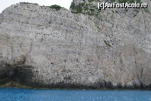 [P10]  -- <small>// FĂRĂ DESCRIERE</small> » foto by nosferatoo
 - 
<span class="allrVoted glyphicon glyphicon-heart hidden" id="av563902"></span>
<a class="m-l-10 hidden" id="sv563902" onclick="voting_Foto_DelVot(,563902,18547)" role="button">șterge vot <span class="glyphicon glyphicon-remove"></span></a>
<a id="v9563902" class=" c-red"  onclick="voting_Foto_SetVot(563902)" role="button"><span class="glyphicon glyphicon-heart-empty"></span> <b>LIKE</b> = Votează poza</a> <img class="hidden"  id="f563902W9" src="/imagini/loader.gif" border="0" /><span class="AjErrMes hidden" id="e563902ErM"></span>