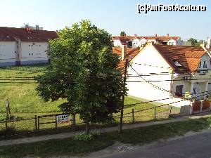 [P11] Fotografie din balcon - terenul viran de vizavi, cu iarba tunsă iar în spate o cultură de cartofi pe care ciuguleau găinile.  » foto by Carmen Ion
 - 
<span class="allrVoted glyphicon glyphicon-heart hidden" id="av626761"></span>
<a class="m-l-10 hidden" id="sv626761" onclick="voting_Foto_DelVot(,626761,18586)" role="button">șterge vot <span class="glyphicon glyphicon-remove"></span></a>
<a id="v9626761" class=" c-red"  onclick="voting_Foto_SetVot(626761)" role="button"><span class="glyphicon glyphicon-heart-empty"></span> <b>LIKE</b> = Votează poza</a> <img class="hidden"  id="f626761W9" src="/imagini/loader.gif" border="0" /><span class="AjErrMes hidden" id="e626761ErM"></span>