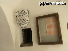 [P19]  -- <small>// FĂRĂ DESCRIERE</small> » foto by balasa violeta
 - 
<span class="allrVoted glyphicon glyphicon-heart hidden" id="av234704"></span>
<a class="m-l-10 hidden" id="sv234704" onclick="voting_Foto_DelVot(,234704,18588)" role="button">șterge vot <span class="glyphicon glyphicon-remove"></span></a>
<a id="v9234704" class=" c-red"  onclick="voting_Foto_SetVot(234704)" role="button"><span class="glyphicon glyphicon-heart-empty"></span> <b>LIKE</b> = Votează poza</a> <img class="hidden"  id="f234704W9" src="/imagini/loader.gif" border="0" /><span class="AjErrMes hidden" id="e234704ErM"></span>