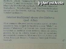 [P52]  -- <small>// FĂRĂ DESCRIERE</small> » foto by balasa violeta
 - 
<span class="allrVoted glyphicon glyphicon-heart hidden" id="av234737"></span>
<a class="m-l-10 hidden" id="sv234737" onclick="voting_Foto_DelVot(,234737,18588)" role="button">șterge vot <span class="glyphicon glyphicon-remove"></span></a>
<a id="v9234737" class=" c-red"  onclick="voting_Foto_SetVot(234737)" role="button"><span class="glyphicon glyphicon-heart-empty"></span> <b>LIKE</b> = Votează poza</a> <img class="hidden"  id="f234737W9" src="/imagini/loader.gif" border="0" /><span class="AjErrMes hidden" id="e234737ErM"></span>