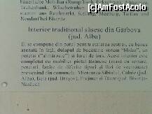 [P53]  -- <small>// FĂRĂ DESCRIERE</small> » foto by balasa violeta
 - 
<span class="allrVoted glyphicon glyphicon-heart hidden" id="av234738"></span>
<a class="m-l-10 hidden" id="sv234738" onclick="voting_Foto_DelVot(,234738,18588)" role="button">șterge vot <span class="glyphicon glyphicon-remove"></span></a>
<a id="v9234738" class=" c-red"  onclick="voting_Foto_SetVot(234738)" role="button"><span class="glyphicon glyphicon-heart-empty"></span> <b>LIKE</b> = Votează poza</a> <img class="hidden"  id="f234738W9" src="/imagini/loader.gif" border="0" /><span class="AjErrMes hidden" id="e234738ErM"></span>