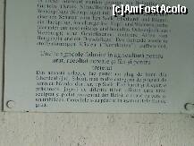 [P66]  -- <small>// FĂRĂ DESCRIERE</small> » foto by balasa violeta
 - 
<span class="allrVoted glyphicon glyphicon-heart hidden" id="av234751"></span>
<a class="m-l-10 hidden" id="sv234751" onclick="voting_Foto_DelVot(,234751,18588)" role="button">șterge vot <span class="glyphicon glyphicon-remove"></span></a>
<a id="v9234751" class=" c-red"  onclick="voting_Foto_SetVot(234751)" role="button"><span class="glyphicon glyphicon-heart-empty"></span> <b>LIKE</b> = Votează poza</a> <img class="hidden"  id="f234751W9" src="/imagini/loader.gif" border="0" /><span class="AjErrMes hidden" id="e234751ErM"></span>