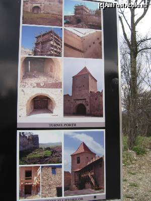 [P11] Imagini Cetatea de Jos » foto by Michi
 - 
<span class="allrVoted glyphicon glyphicon-heart hidden" id="av586550"></span>
<a class="m-l-10 hidden" id="sv586550" onclick="voting_Foto_DelVot(,586550,18593)" role="button">șterge vot <span class="glyphicon glyphicon-remove"></span></a>
<a id="v9586550" class=" c-red"  onclick="voting_Foto_SetVot(586550)" role="button"><span class="glyphicon glyphicon-heart-empty"></span> <b>LIKE</b> = Votează poza</a> <img class="hidden"  id="f586550W9" src="/imagini/loader.gif" border="0" /><span class="AjErrMes hidden" id="e586550ErM"></span>