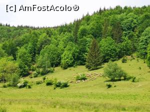 [P25] Pasc oițele la munte... » foto by crismis
 - 
<span class="allrVoted glyphicon glyphicon-heart hidden" id="av1166727"></span>
<a class="m-l-10 hidden" id="sv1166727" onclick="voting_Foto_DelVot(,1166727,18623)" role="button">șterge vot <span class="glyphicon glyphicon-remove"></span></a>
<a id="v91166727" class=" c-red"  onclick="voting_Foto_SetVot(1166727)" role="button"><span class="glyphicon glyphicon-heart-empty"></span> <b>LIKE</b> = Votează poza</a> <img class="hidden"  id="f1166727W9" src="/imagini/loader.gif" border="0" /><span class="AjErrMes hidden" id="e1166727ErM"></span>