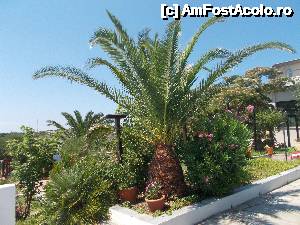 [P15] Peisaj de la hotel » foto by C.Raluca*
 - 
<span class="allrVoted glyphicon glyphicon-heart hidden" id="av634202"></span>
<a class="m-l-10 hidden" id="sv634202" onclick="voting_Foto_DelVot(,634202,18696)" role="button">șterge vot <span class="glyphicon glyphicon-remove"></span></a>
<a id="v9634202" class=" c-red"  onclick="voting_Foto_SetVot(634202)" role="button"><span class="glyphicon glyphicon-heart-empty"></span> <b>LIKE</b> = Votează poza</a> <img class="hidden"  id="f634202W9" src="/imagini/loader.gif" border="0" /><span class="AjErrMes hidden" id="e634202ErM"></span>