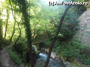 [P20] poduri din lemn bine intretinute ne ajuta sa traversam raul » foto by buterfly*
 - 
<span class="allrVoted glyphicon glyphicon-heart hidden" id="av633571"></span>
<a class="m-l-10 hidden" id="sv633571" onclick="voting_Foto_DelVot(,633571,18700)" role="button">șterge vot <span class="glyphicon glyphicon-remove"></span></a>
<a id="v9633571" class=" c-red"  onclick="voting_Foto_SetVot(633571)" role="button"><span class="glyphicon glyphicon-heart-empty"></span> <b>LIKE</b> = Votează poza</a> <img class="hidden"  id="f633571W9" src="/imagini/loader.gif" border="0" /><span class="AjErrMes hidden" id="e633571ErM"></span>