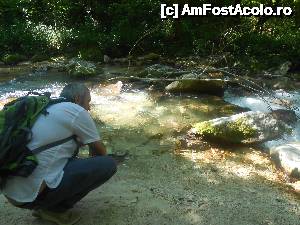 [P23] o piscina naturala protejata de serpi galbui » foto by buterfly*
 - 
<span class="allrVoted glyphicon glyphicon-heart hidden" id="av633575"></span>
<a class="m-l-10 hidden" id="sv633575" onclick="voting_Foto_DelVot(,633575,18700)" role="button">șterge vot <span class="glyphicon glyphicon-remove"></span></a>
<a id="v9633575" class=" c-red"  onclick="voting_Foto_SetVot(633575)" role="button"><span class="glyphicon glyphicon-heart-empty"></span> <b>LIKE</b> = Votează poza</a> <img class="hidden"  id="f633575W9" src="/imagini/loader.gif" border="0" /><span class="AjErrMes hidden" id="e633575ErM"></span>