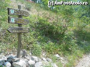 [P26] Cararea continua pentru inca vreo 4-5 ore » foto by buterfly*
 - 
<span class="allrVoted glyphicon glyphicon-heart hidden" id="av633578"></span>
<a class="m-l-10 hidden" id="sv633578" onclick="voting_Foto_DelVot(,633578,18700)" role="button">șterge vot <span class="glyphicon glyphicon-remove"></span></a>
<a id="v9633578" class=" c-red"  onclick="voting_Foto_SetVot(633578)" role="button"><span class="glyphicon glyphicon-heart-empty"></span> <b>LIKE</b> = Votează poza</a> <img class="hidden"  id="f633578W9" src="/imagini/loader.gif" border="0" /><span class="AjErrMes hidden" id="e633578ErM"></span>