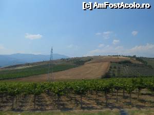 [P37] drumul vinului- podgorii bine ingrijite » foto by buterfly*
 - 
<span class="allrVoted glyphicon glyphicon-heart hidden" id="av633590"></span>
<a class="m-l-10 hidden" id="sv633590" onclick="voting_Foto_DelVot(,633590,18700)" role="button">șterge vot <span class="glyphicon glyphicon-remove"></span></a>
<a id="v9633590" class=" c-red"  onclick="voting_Foto_SetVot(633590)" role="button"><span class="glyphicon glyphicon-heart-empty"></span> <b>LIKE</b> = Votează poza</a> <img class="hidden"  id="f633590W9" src="/imagini/loader.gif" border="0" /><span class="AjErrMes hidden" id="e633590ErM"></span>