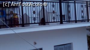 [P01] Custi pe balcon » foto by Merendino
 - 
<span class="allrVoted glyphicon glyphicon-heart hidden" id="av756380"></span>
<a class="m-l-10 hidden" id="sv756380" onclick="voting_Foto_DelVot(,756380,18726)" role="button">șterge vot <span class="glyphicon glyphicon-remove"></span></a>
<a id="v9756380" class=" c-red"  onclick="voting_Foto_SetVot(756380)" role="button"><span class="glyphicon glyphicon-heart-empty"></span> <b>LIKE</b> = Votează poza</a> <img class="hidden"  id="f756380W9" src="/imagini/loader.gif" border="0" /><span class="AjErrMes hidden" id="e756380ErM"></span>