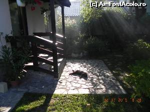 [P07]  -- <small>// FĂRĂ DESCRIERE</small> » foto by nely
 - 
<span class="allrVoted glyphicon glyphicon-heart hidden" id="av635513"></span>
<a class="m-l-10 hidden" id="sv635513" onclick="voting_Foto_DelVot(,635513,18736)" role="button">șterge vot <span class="glyphicon glyphicon-remove"></span></a>
<a id="v9635513" class=" c-red"  onclick="voting_Foto_SetVot(635513)" role="button"><span class="glyphicon glyphicon-heart-empty"></span> <b>LIKE</b> = Votează poza</a> <img class="hidden"  id="f635513W9" src="/imagini/loader.gif" border="0" /><span class="AjErrMes hidden" id="e635513ErM"></span>