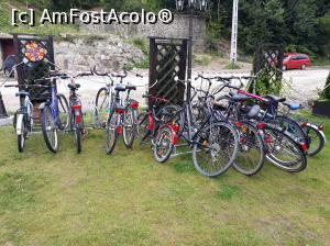 [P31] BICICLETE DE INCHIRIAT » foto by costyy †
 - 
<span class="allrVoted glyphicon glyphicon-heart hidden" id="av992109"></span>
<a class="m-l-10 hidden" id="sv992109" onclick="voting_Foto_DelVot(,992109,18768)" role="button">șterge vot <span class="glyphicon glyphicon-remove"></span></a>
<a id="v9992109" class=" c-red"  onclick="voting_Foto_SetVot(992109)" role="button"><span class="glyphicon glyphicon-heart-empty"></span> <b>LIKE</b> = Votează poza</a> <img class="hidden"  id="f992109W9" src="/imagini/loader.gif" border="0" /><span class="AjErrMes hidden" id="e992109ErM"></span>